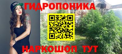 ПСИЛОЦИБИНОВЫЕ ГРИБЫ Бузулук