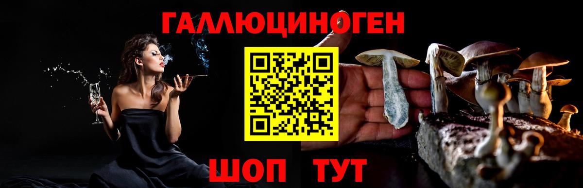 Галлюциногенные грибы Cubensis Санкт-Петербург
