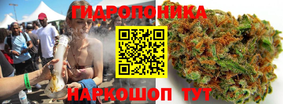 Шишки марихуана сатива  Бошки Шишки OG Kush  Санкт-Петербург  Вход с VPN 